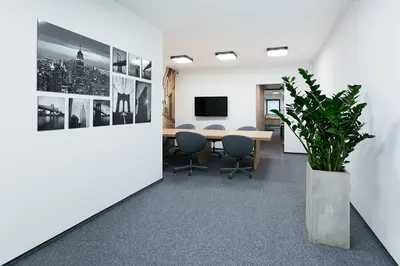 Nieruchomości Pruchnik